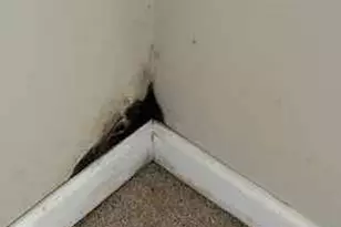 949 Primrose Dr, Dayton, OH 45449 - Photo 26