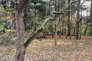 420 W Whiteman St, Yellow Springs Vlg, OH 45387 - Photo 36