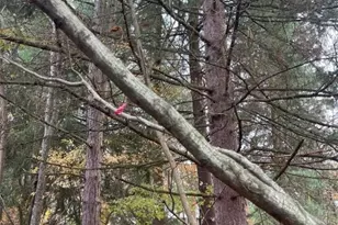 420 W Whiteman St, Yellow Springs Vlg, OH 45387 - Photo 32