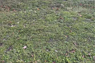 0 Ledges Trail, Oakwood, OH 45409 - Photo 1