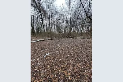 0 Morrow-Woodville Road, Pleasant Plain, OH 45162 - Photo 10