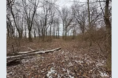 0 Morrow-Woodville Road, Pleasant Plain, OH 45162 - Photo 8