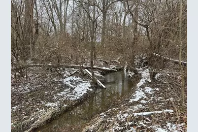 0 Morrow-Woodville Road, Pleasant Plain, OH 45162 - Photo 4