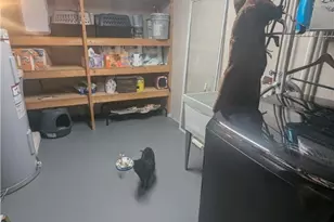 5067 Bristol Ct, Loveland, OH 45140 - Photo 56