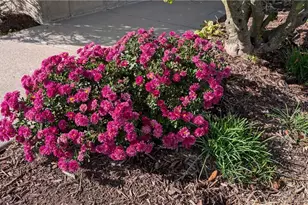 2461 Whisper Dr, Miamisburg, OH 45342 - Photo 74