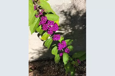 2461 Whisper Drive, Miamisburg, OH 45342 - Photo 72