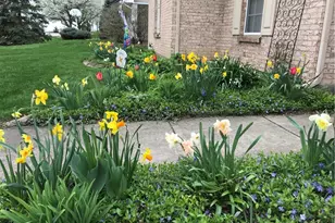 965 Bakersfield Ct, Miamisburg, OH 45342 - Photo 4