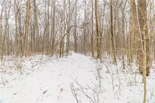 7300 Zimmerman Rd, Saint Paris, OH 43072 - Photo 34