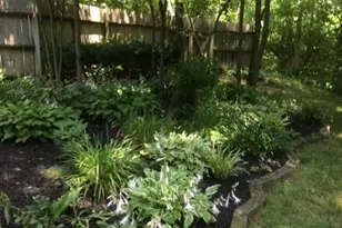 6503 Niderdale Way, Middletown, OH 45042 - Photo 70