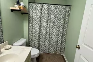 15 S Shafer St, Athens, OH 45701 - Photo 10