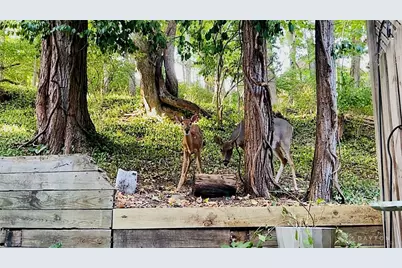 45 N East Street, Bellbrook, OH 45305 - Photo 28