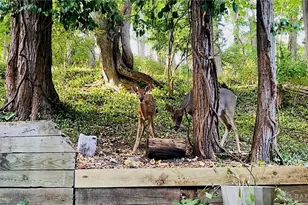 45 N East St, Bellbrook, OH 45305 - Photo 28