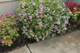 3492 Twenty Mile Way, Loveland, OH 45140 - Photo 30