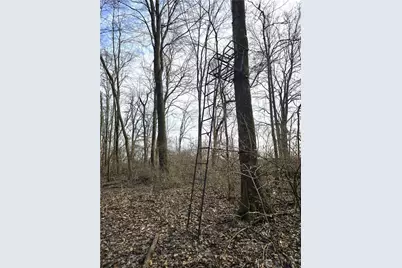 414 W Sparrow Road, Springfield, OH 45502 - Photo 14