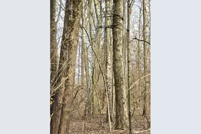 414 W Sparrow Road, Springfield, OH 45502 - Photo 16