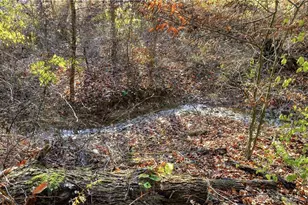 2457 Martinsville Rd, Clark Twp, OH 45146 - Photo 68