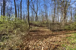 2457 Martinsville Rd, Clark Twp, OH 45146 - Photo 60