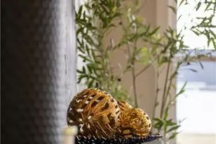 3005 Seminole Way, Piqua, OH 45356 - Photo 52