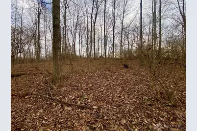 56 Sabina Road, Leesburg, OH 45135 - Photo 10