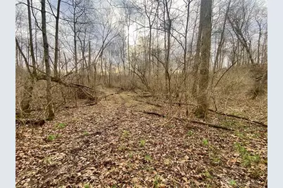 56 Sabina Road, Leesburg, OH 45135 - Photo 12