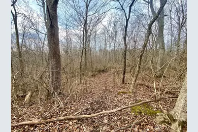 56 Sabina Road, Leesburg, OH 45135 - Photo 18