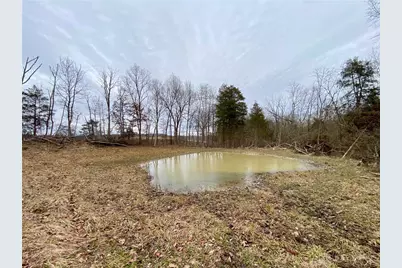 39 Ac Buckley Road, Hillsboro, OH 45133 - Photo 26