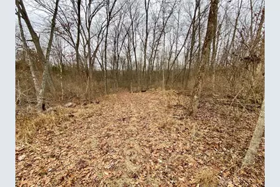 39 Ac Buckley Road, Hillsboro, OH 45133 - Photo 20