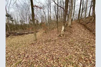 39 Ac Buckley Road, Hillsboro, OH 45133 - Photo 18