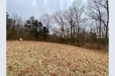 39 Ac Buckley Road, Hillsboro, OH 45133 - Photo 10