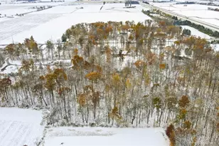 14333 Meranda Rd, Anna, OH 45302 - Photo 96