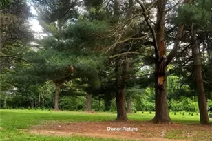 4957 Utica Rd, Waynesville, OH 45068 - Photo 62