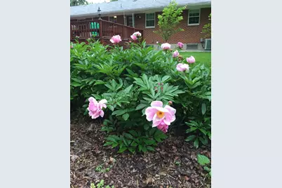 4048 Locustwood Drive, Dayton, OH 45429 - Photo 54