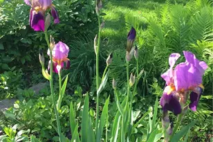 4048 Locustwood Dr, Dayton, OH 45429 - Photo 56