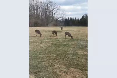 310 S Diamond Mill Road, Clayton, OH 45315 - Photo 6