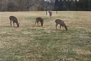 310 S Diamond Mill Rd, Clayton, OH 45315 - Photo 6