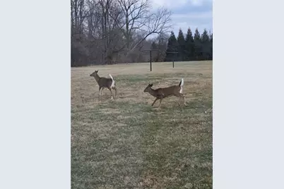 310 S Diamond Mill Road, Clayton, OH 45315 - Photo 54