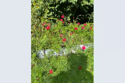 12223 Jason Drive, Medway, OH 45341 - Photo 34