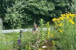 3338 Turtle Shell Dr, Dayton, OH 45414 - Photo 4