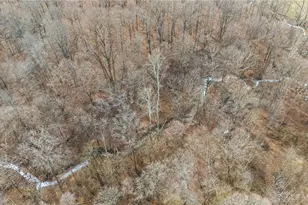 10999 Morrison-Mikesell Rd, New Paris, OH 45347 - Photo 10