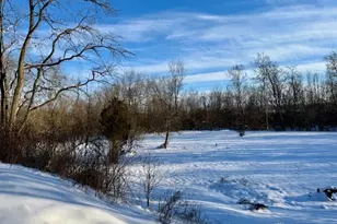 4407 Redmond Rd, Springfield, OH 45505 - Photo 50