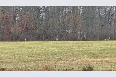 1 Middleboro Road, Blanchester, OH 45107 - Photo 6