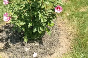 5071 Seville Dr, Englewood, OH 45322 - Photo 22