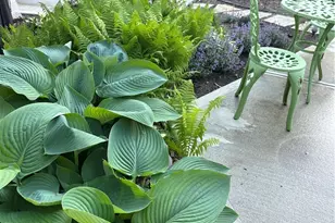 5217 Keener Rd, Brookville, OH 45309 - Photo 40