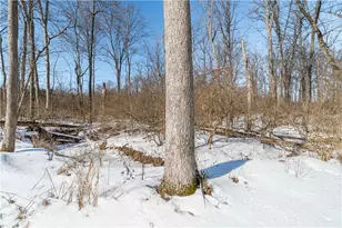 5435 Sherfield Dr, Dayton, OH 45426 - Photo 60