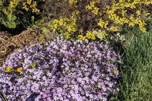 6042 Ansbury Dr, Dayton, OH 45424 - Photo 30