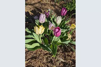 6042 Ansbury Drive, Dayton, OH 45424 - Photo 28