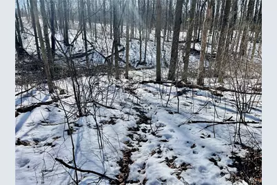 0 County Road 5, Zanesfield, OH 43360 - Photo 44