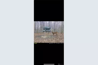 0 County Road 5, Zanesfield, OH 43360 - Photo 90