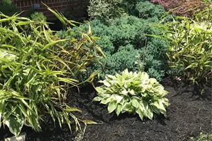 3826 California Ave, Dayton, OH 45429 - Photo 34