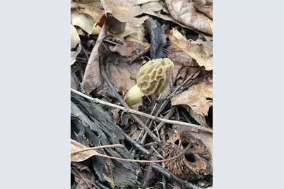 7403 Fairground Road, Blanchester, OH 45107 - Photo 14